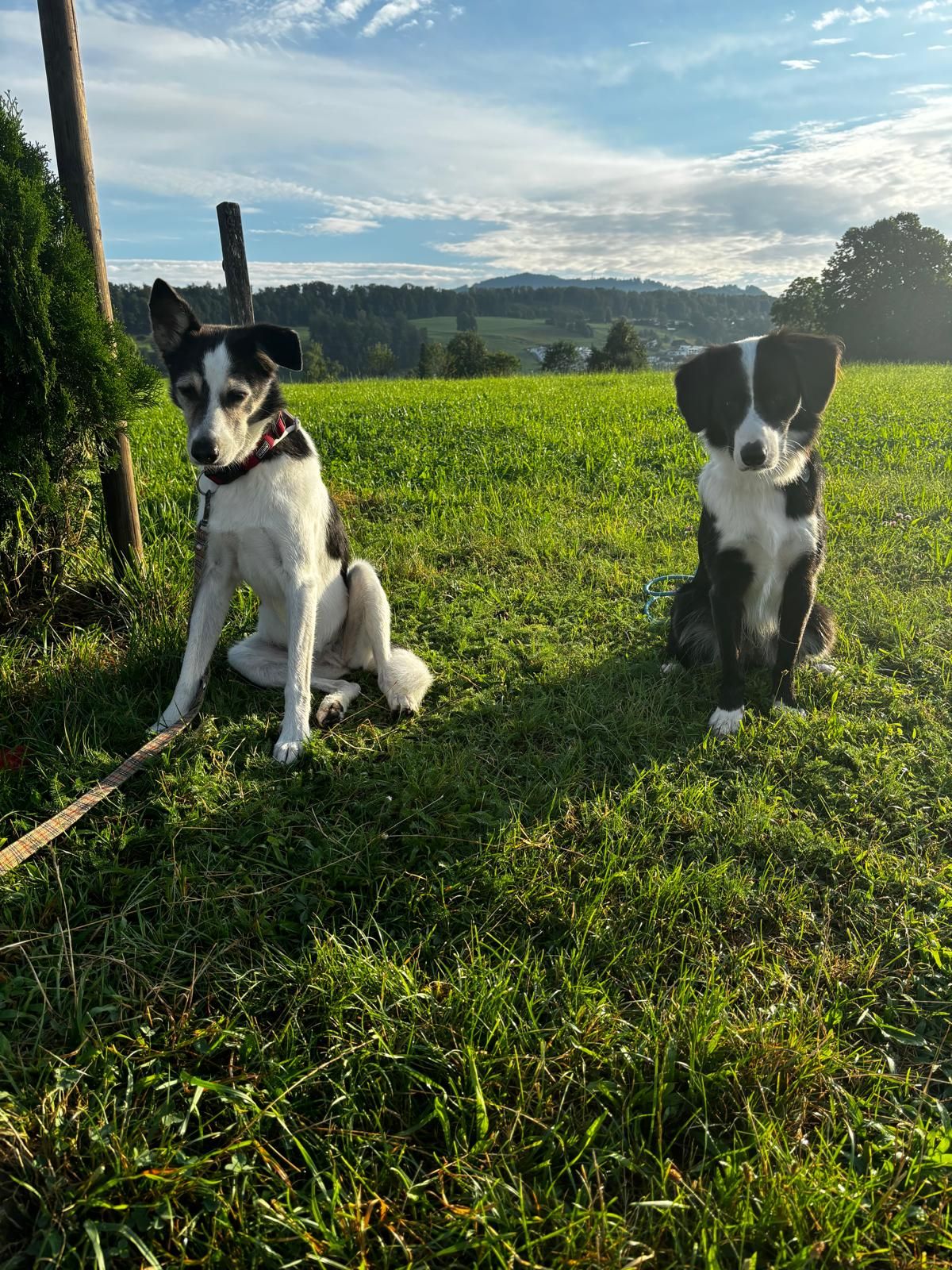 Abendteuerspaziergang Eschenbach